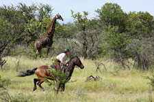 South Africa-Waterberg-Waterberg Safari Lodge